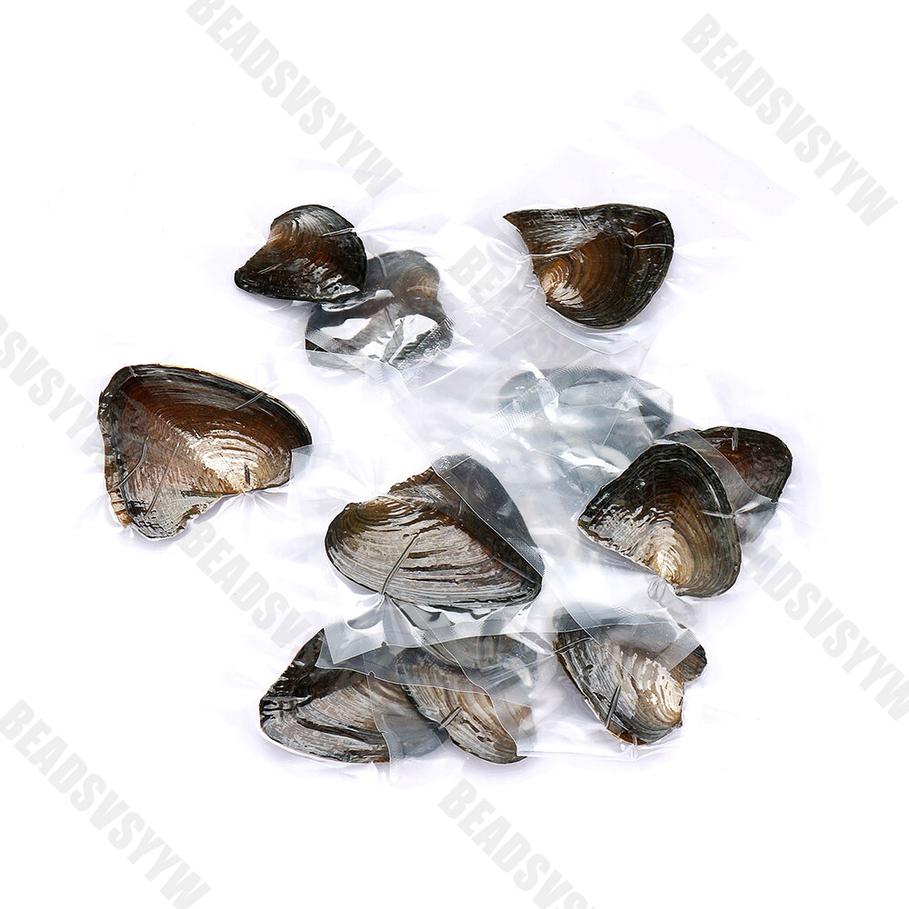 1-50pack Individually Wrapped Oysters whith Natural Pearl Holiday Birthday Gift