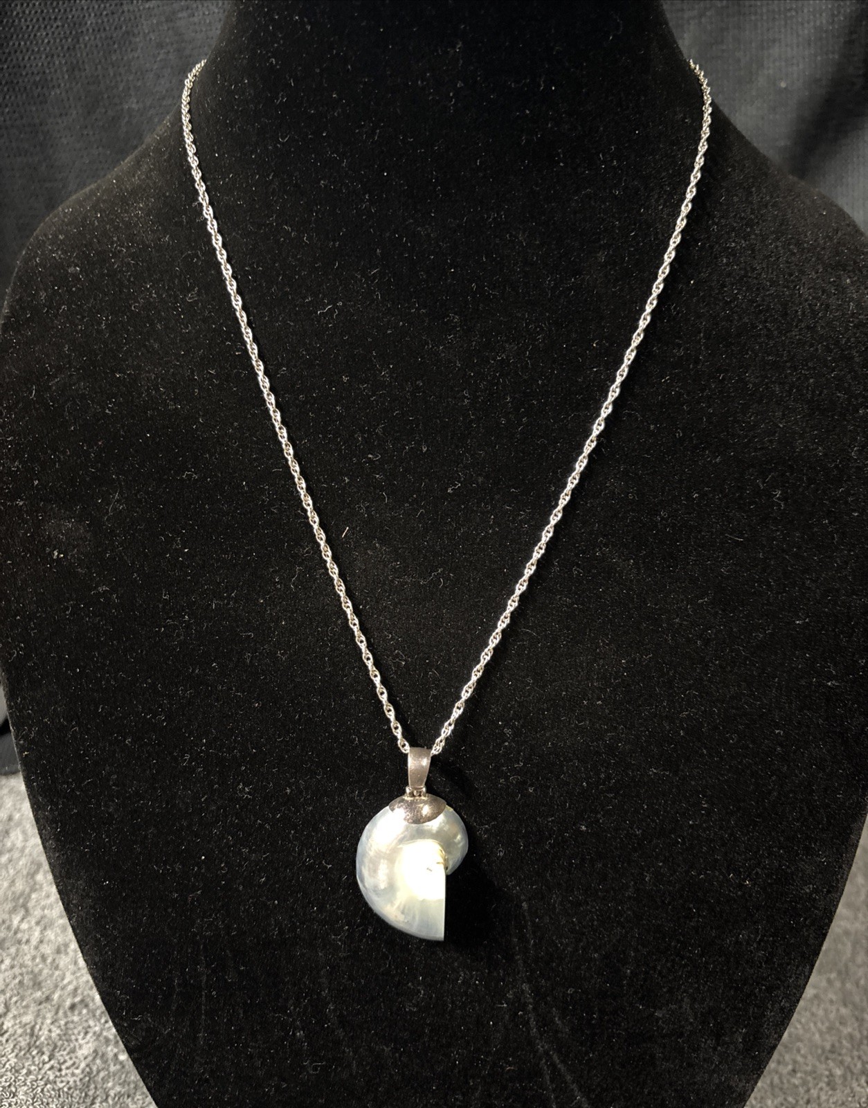 sterling silver necklace with Light Blue Nautilus Shell pendant