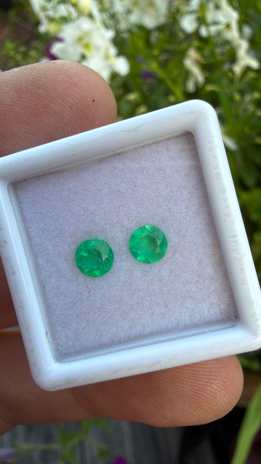 Colombian MUZO Emerald Earring pair loose gemstone .69 cts