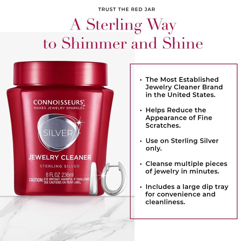 Silver Jewelry Cleaner Instant Tarnish Remover Ammonia Free Dip Tray No Mess New