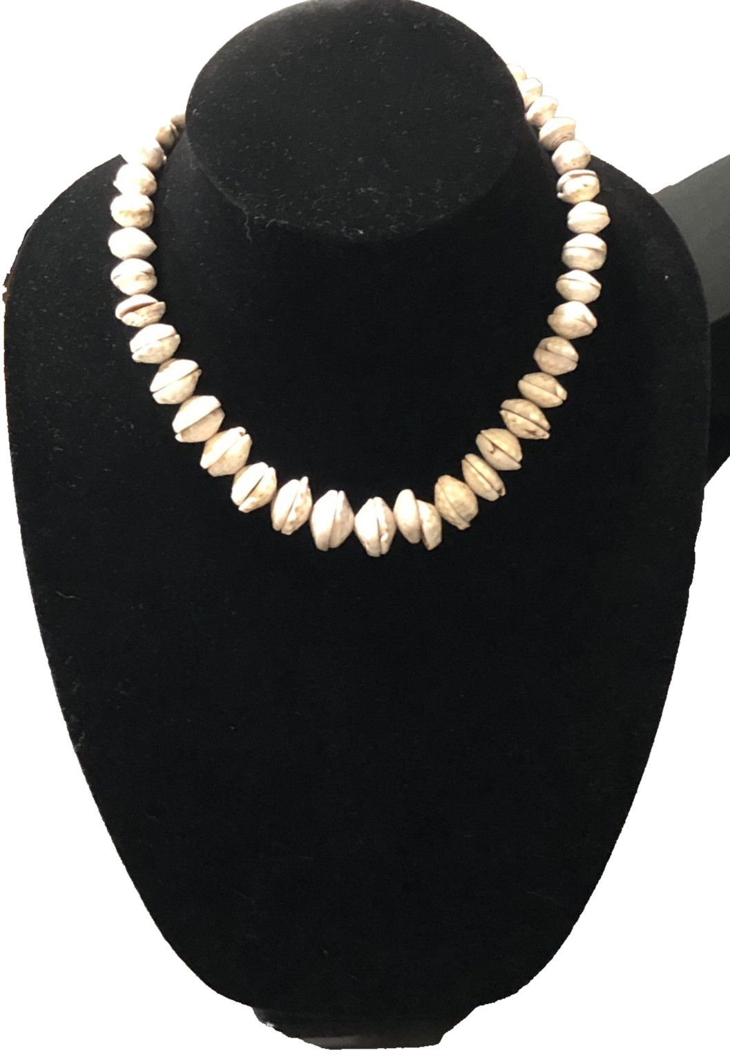 Puka Shell Necklace Hawaiian Lei Graduated 9 mm to 17 mm 17 in Length – Vintage