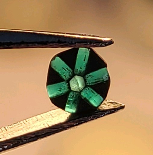EXTREMELY RARE Tripache Emerald From Colombia 0.26 ct with unique spokes