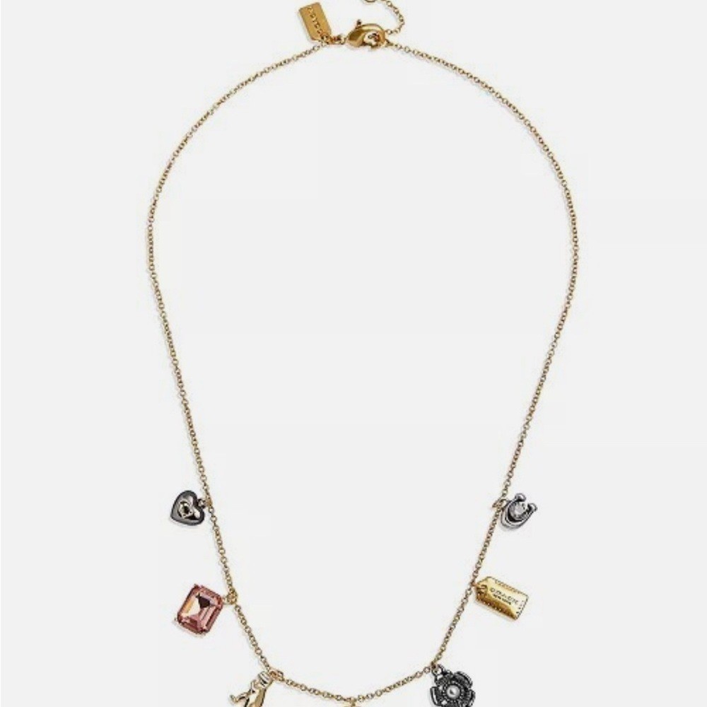 NWT Coach Charm Necklace
