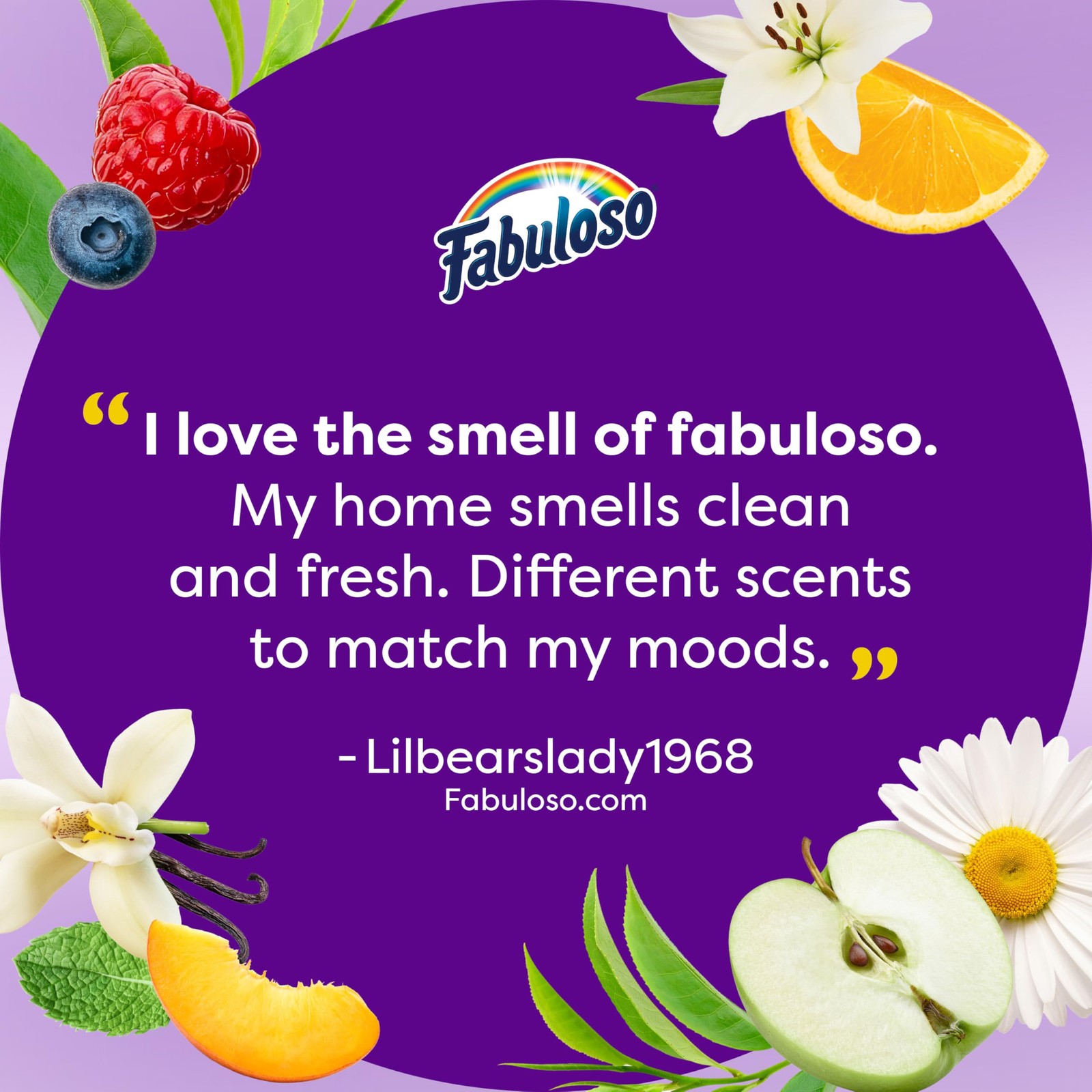 Fabuloso Multi-Purpose Cleaner and Floor Cleaner, 2X 56 Fl Oz (Pack of 1)