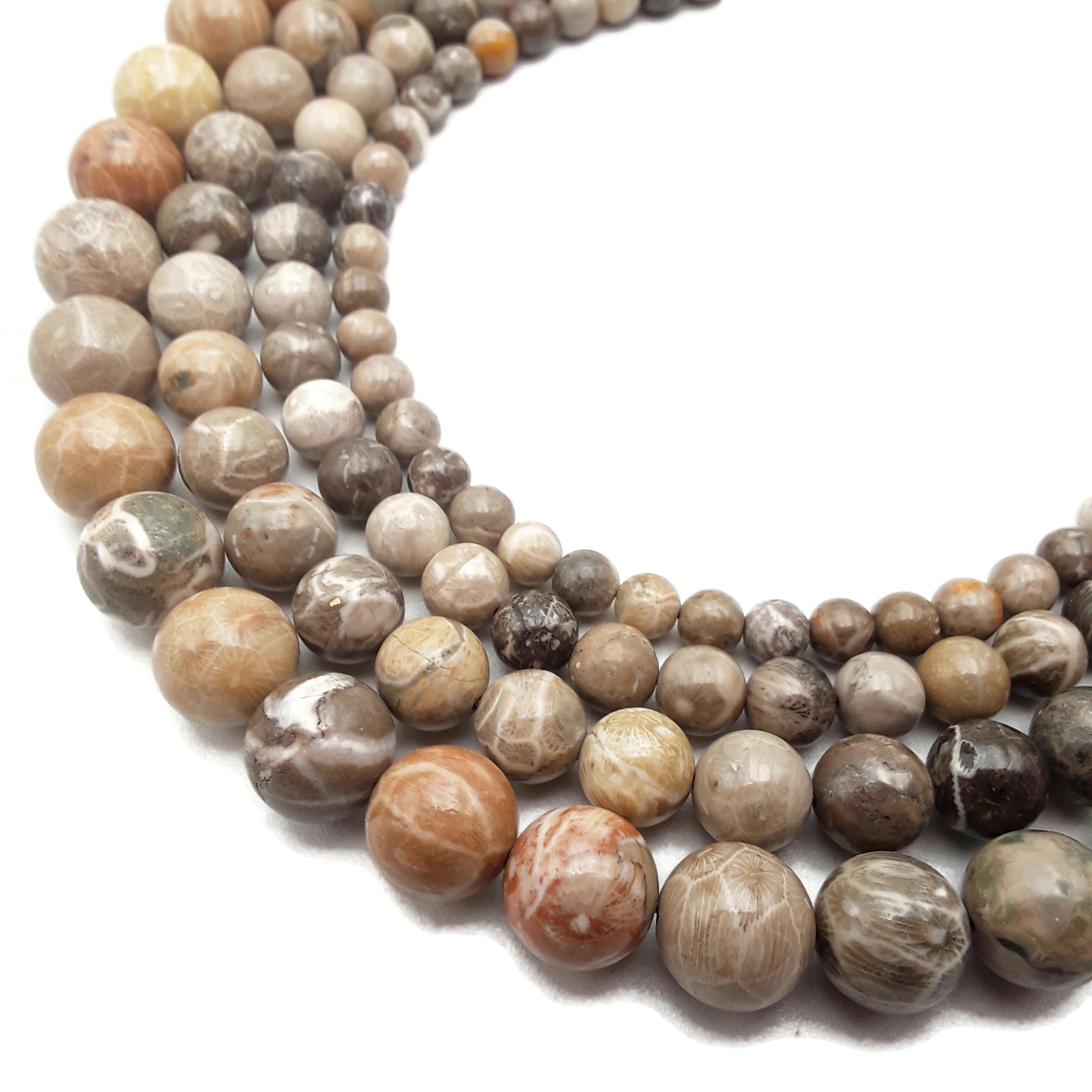 Natural Fossil Coral Smooth Round Beads 4mm 6mm 8mm 10mm 12mm 15.5″ Strand