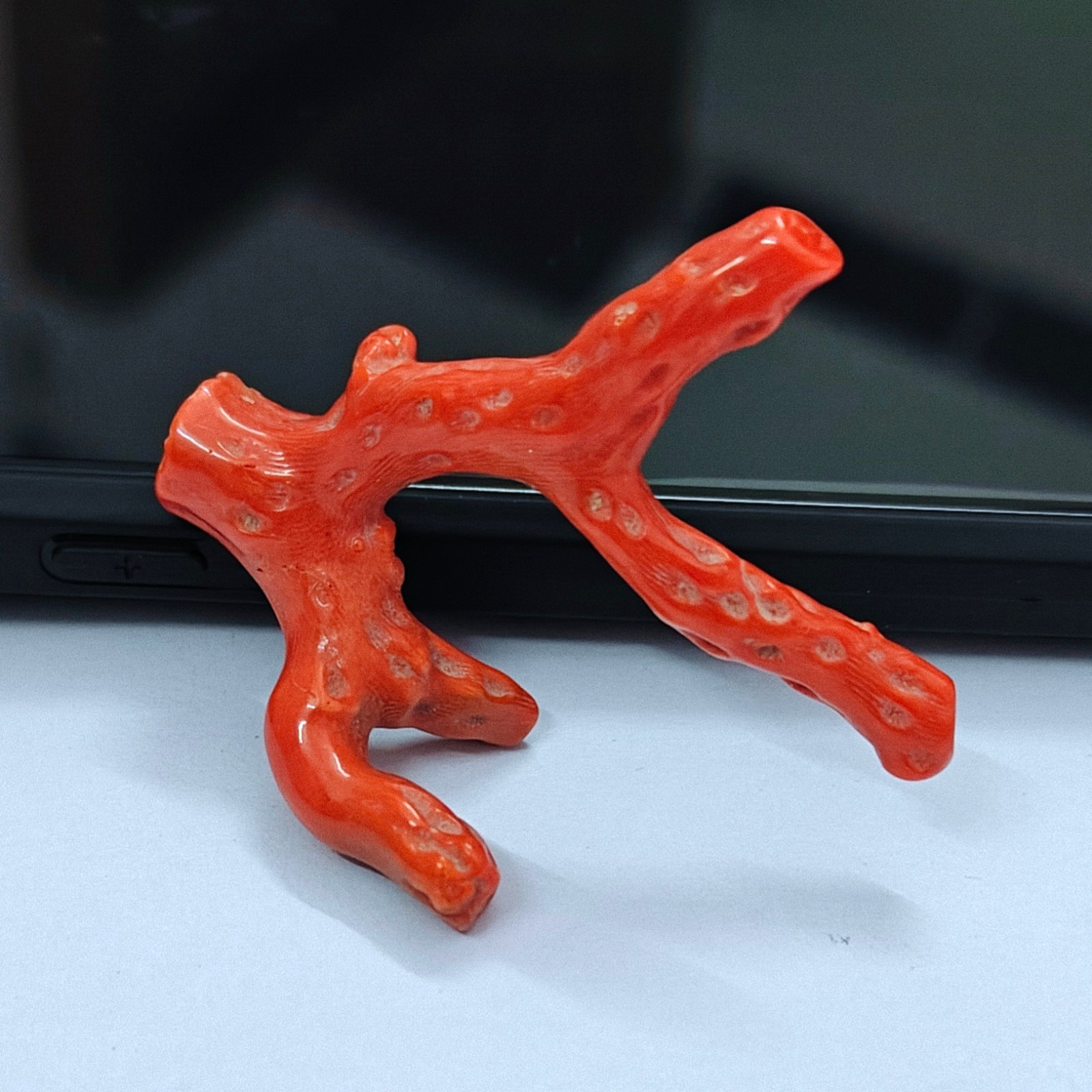 Natural Pink Coral Polished Branch Rough Stick Loose Sea Gemstone For Collectors