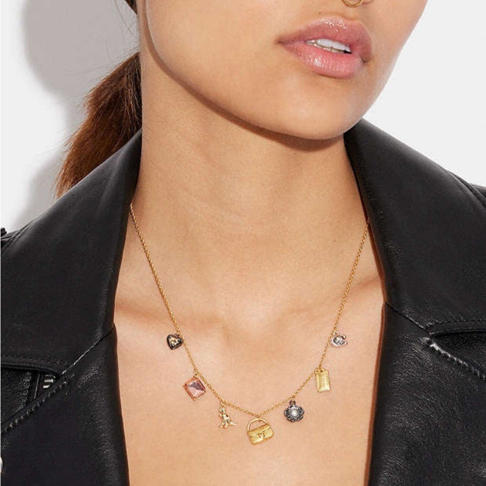 NWT Coach Charm Necklace