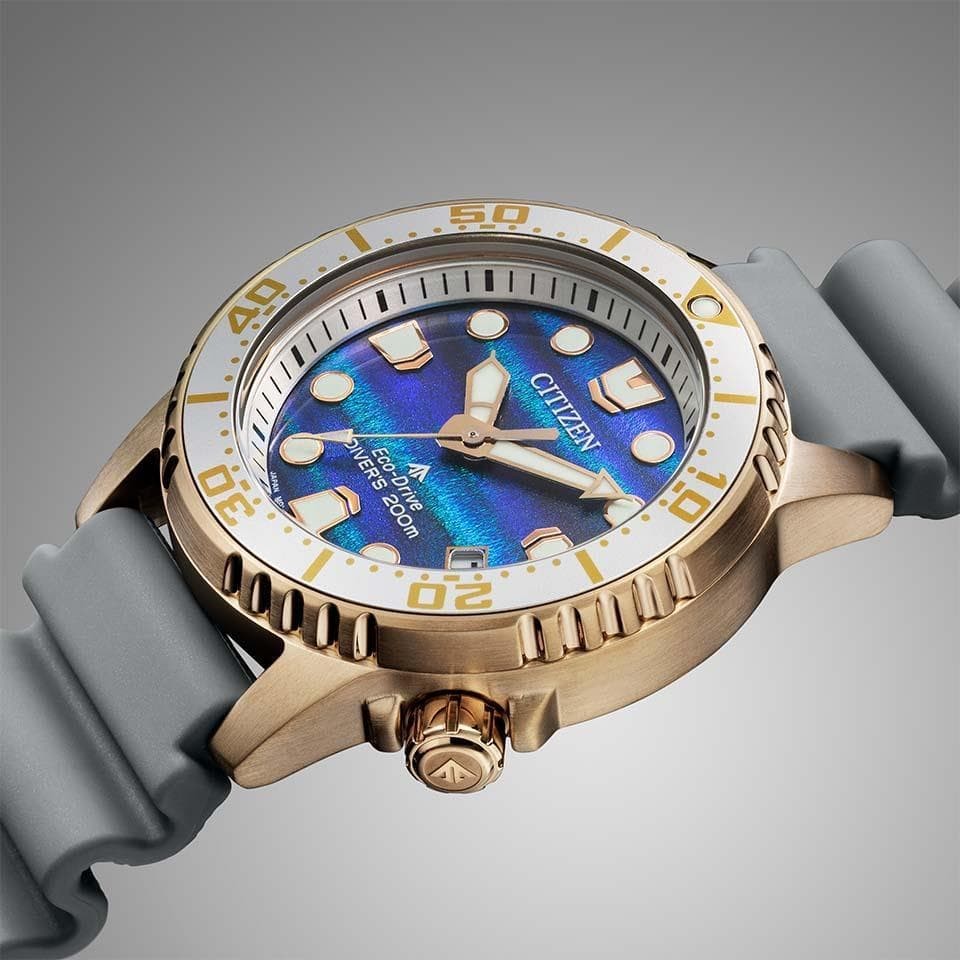 New CITIZEN World Limited 3 400 Pieces Special Limited Edition EO2023 00W
