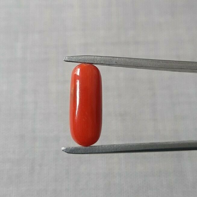 Coral Cabochon 100%Natural Italian Mediterranean coral Capsule Loose Gemstone.