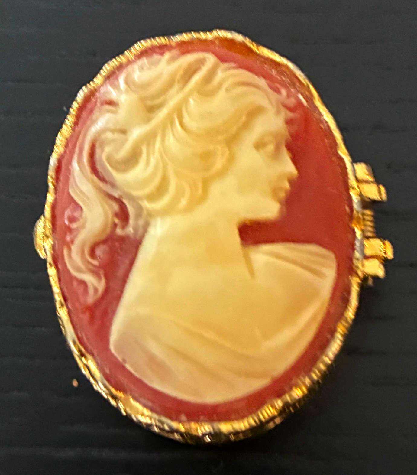 Oval Cameo Portrait Pill Box Gold Tone Frame Brown Cream Beauty Theme