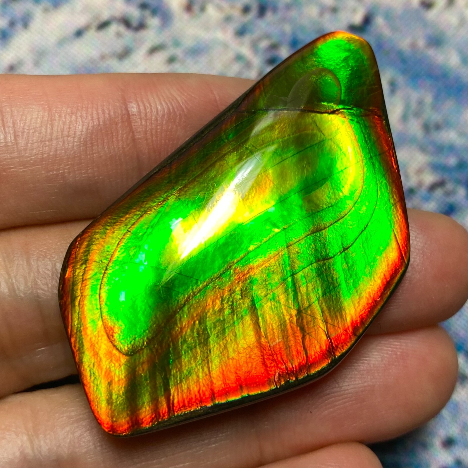 AAA Genuine Ammolite Gemstone Collectible Hand polished Loose Gem Rare Fossils