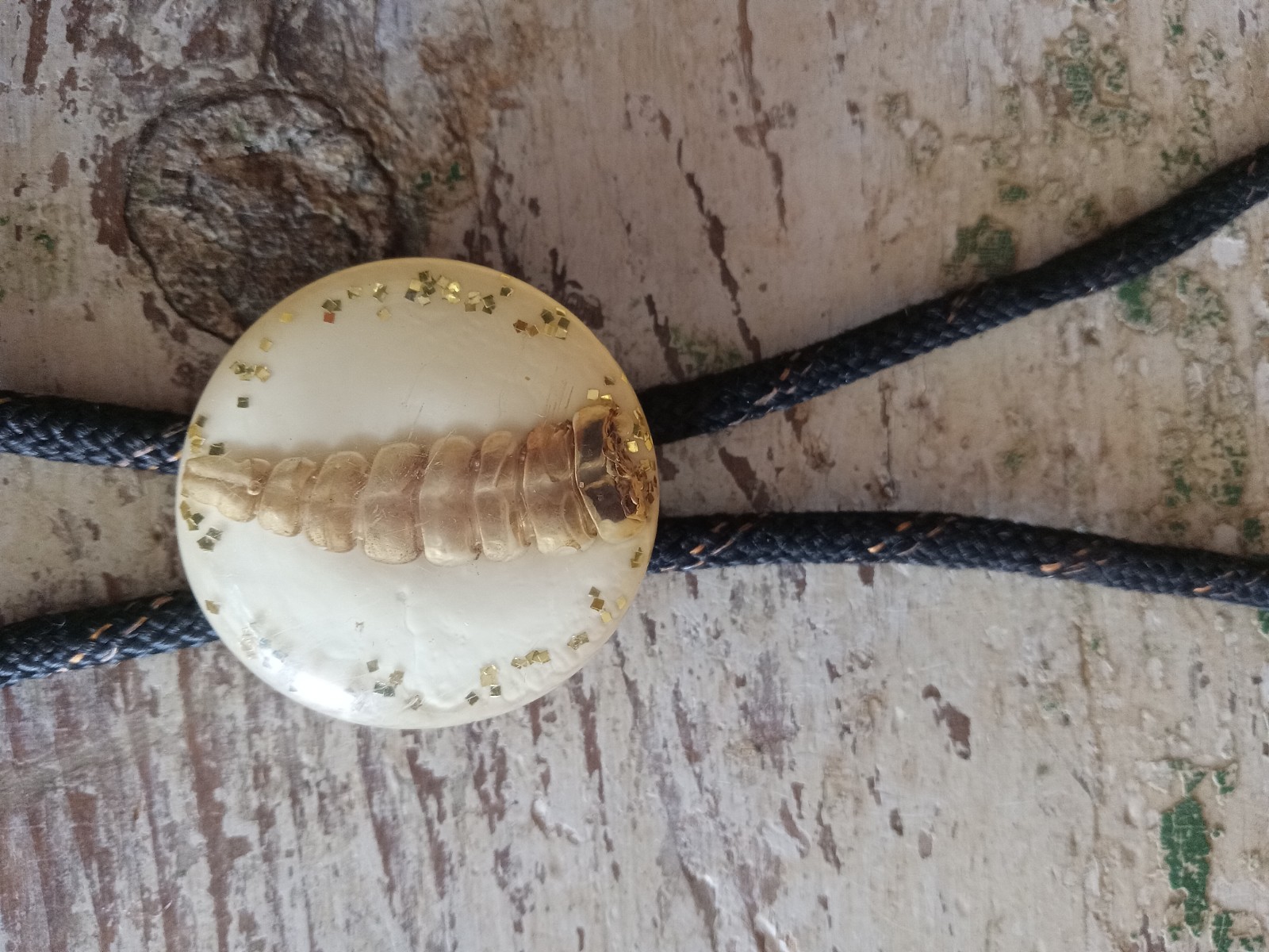 Vintage Rattle Snake Rattler Bolo Acrylic Resin Brass Tips