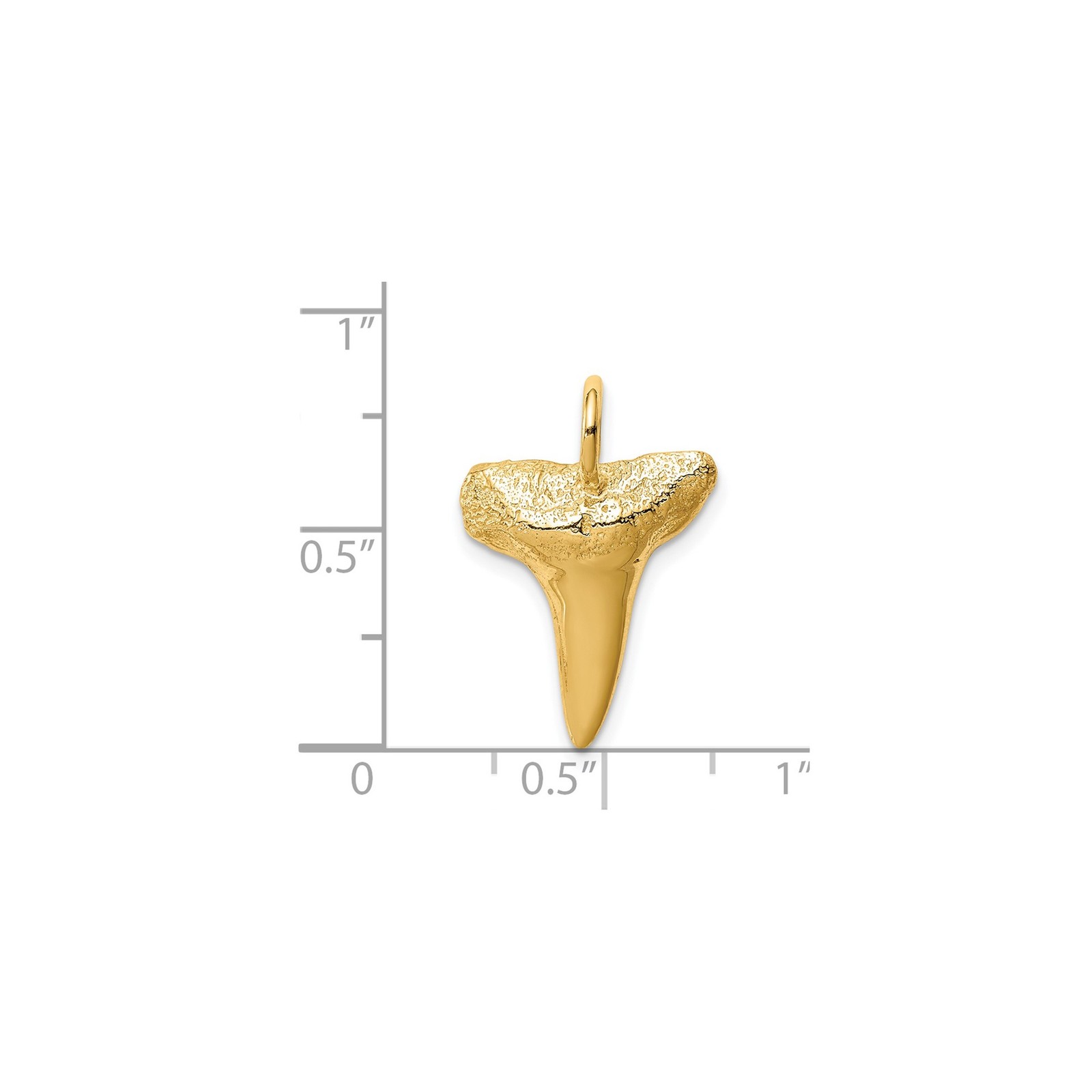 14k Yellow Gold Solid Shark Tooth Pendant Men’s Surfer Ocean Charm 16mm