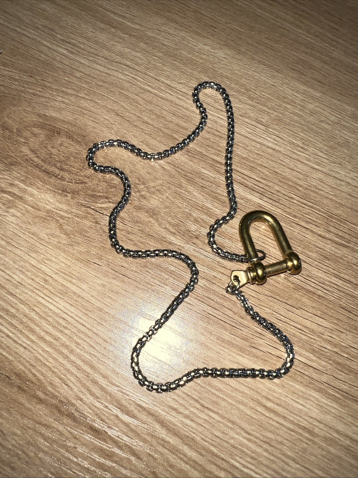 Horse Bit Pendant Chain Two Tone Necklace. Stainless Steel. New. Screw Closure.