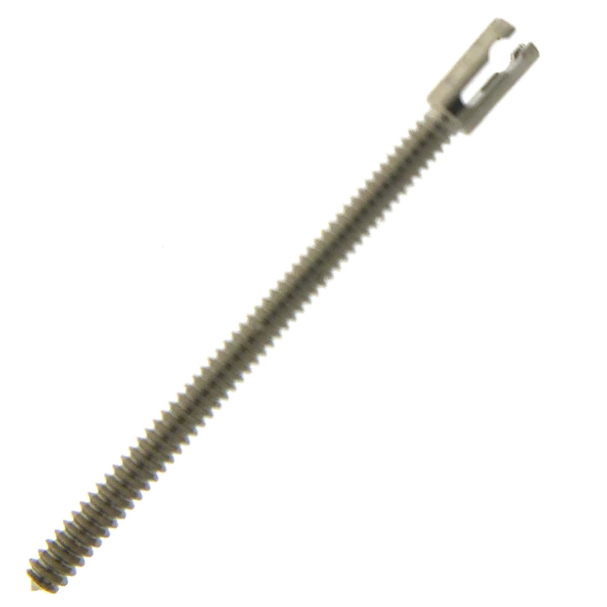 Stem Split Female to fits Ebel for Crown Side T10