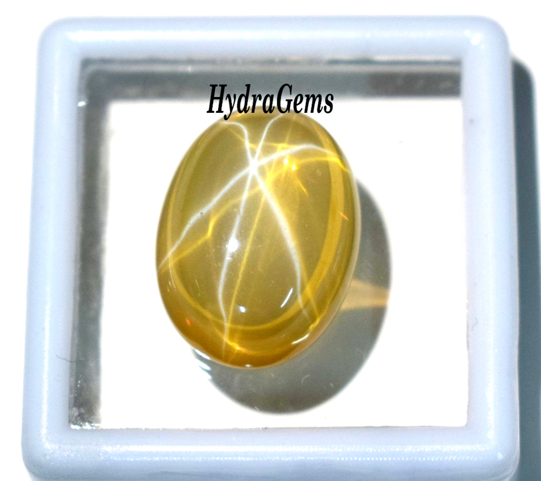 Natural Golden Yellow Star Sapphire 12Ct Cabochon 6Ray Asterism Rare Pukhraj Gem