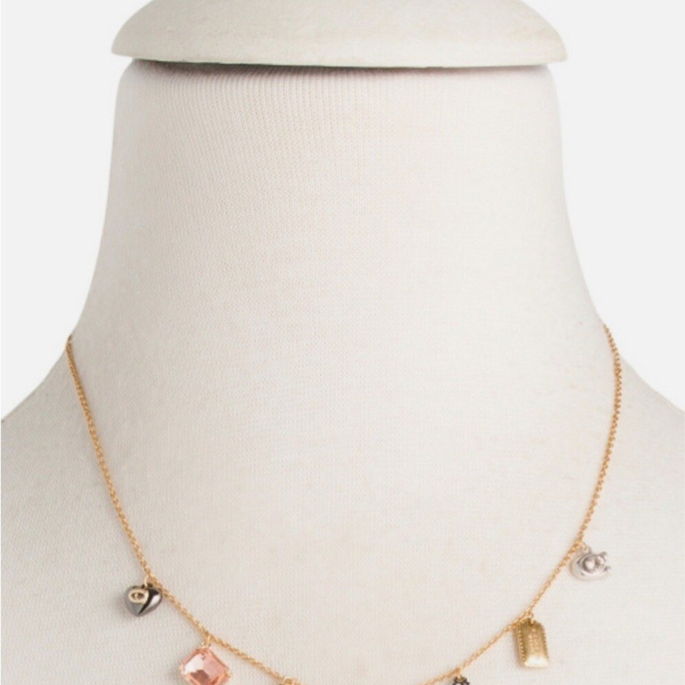 NWT Coach Charm Necklace
