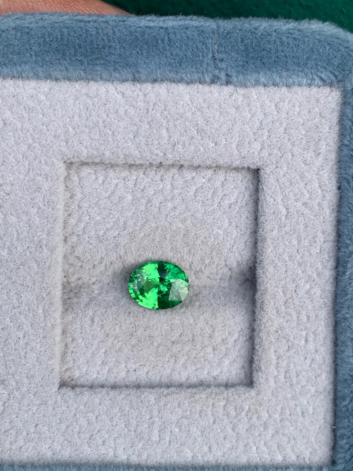 Natural Green Tsavorite Garnet(Tsv)1.10crt Oval VVS Loose Gemstone Tanzania