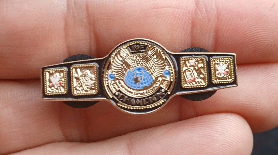 Winged Eagle WWF Championship Belt Custom ENAMEL PIN 90s Champion Attitude WWE R