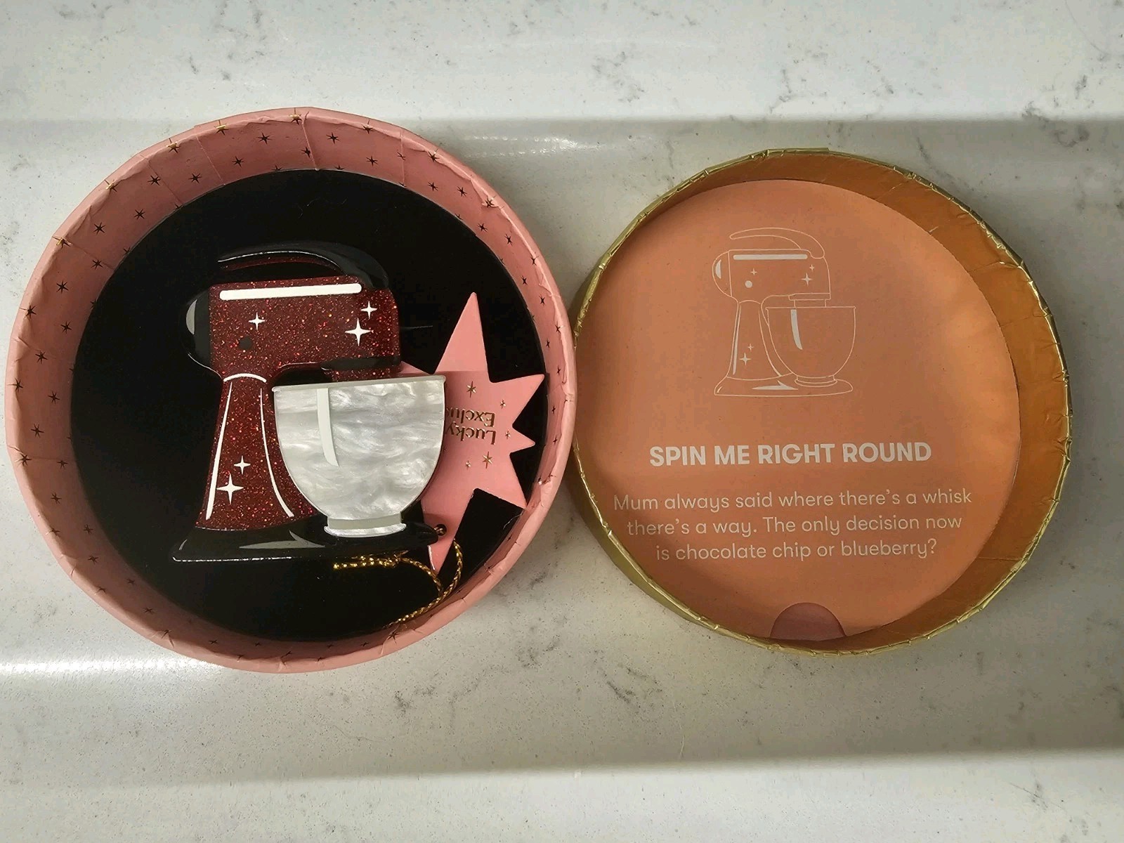 NEW Erstwilder Spin Me Right Round Brooch LDE Lucky Dip Exclusive