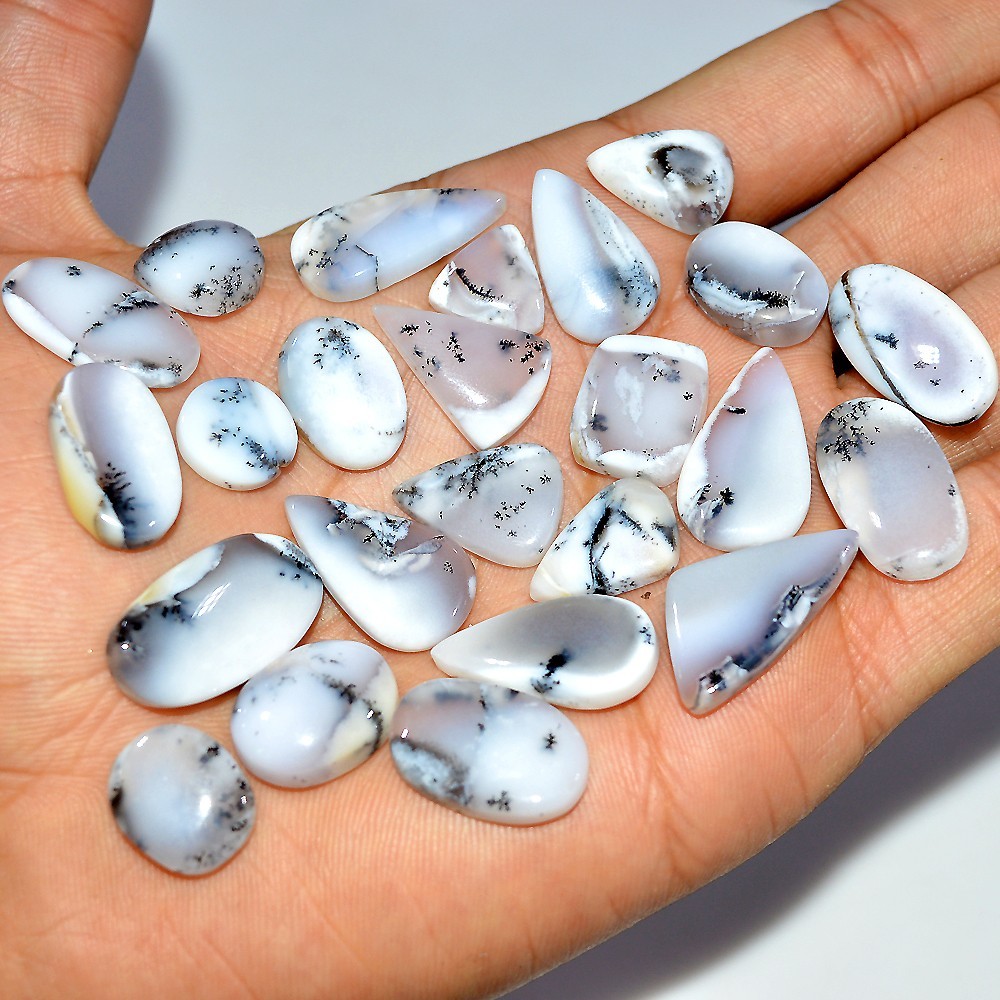 24 Pcs 216 Cts Natural Dendrite Agate Cabochon Gemstone Lot 24×11 10x10mm #17289