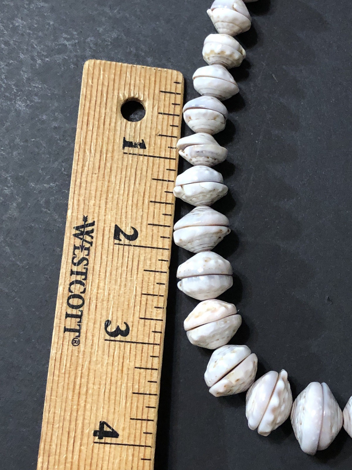 Puka Shell Necklace Hawaiian Lei Graduated 9 mm to 17 mm 17 in Length – Vintage