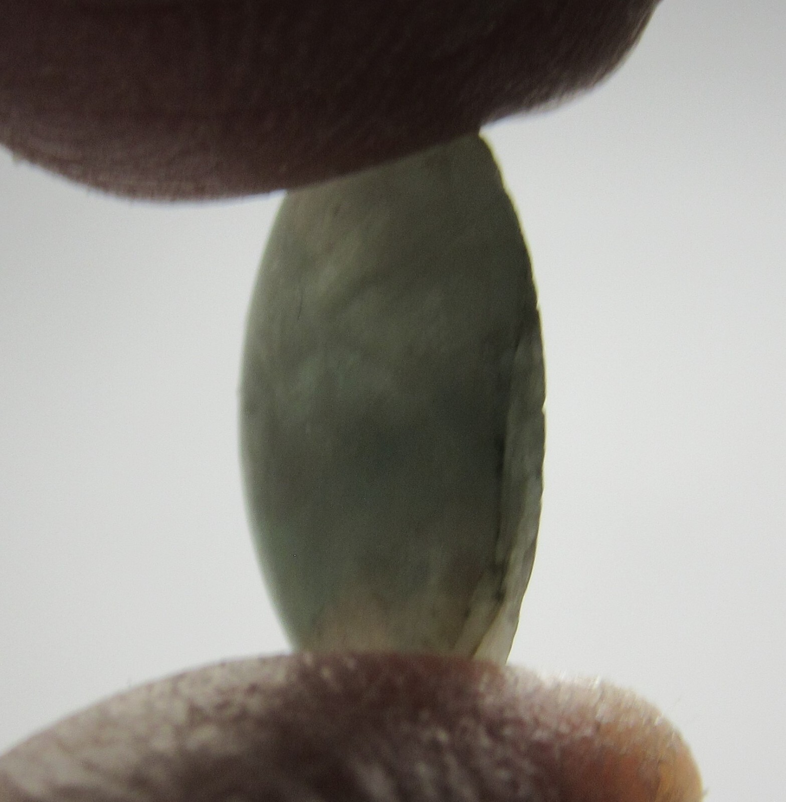 Green Mottled Translucent Oval Burmese Jade Cabochon 12 x 15 mm GTBJC-337