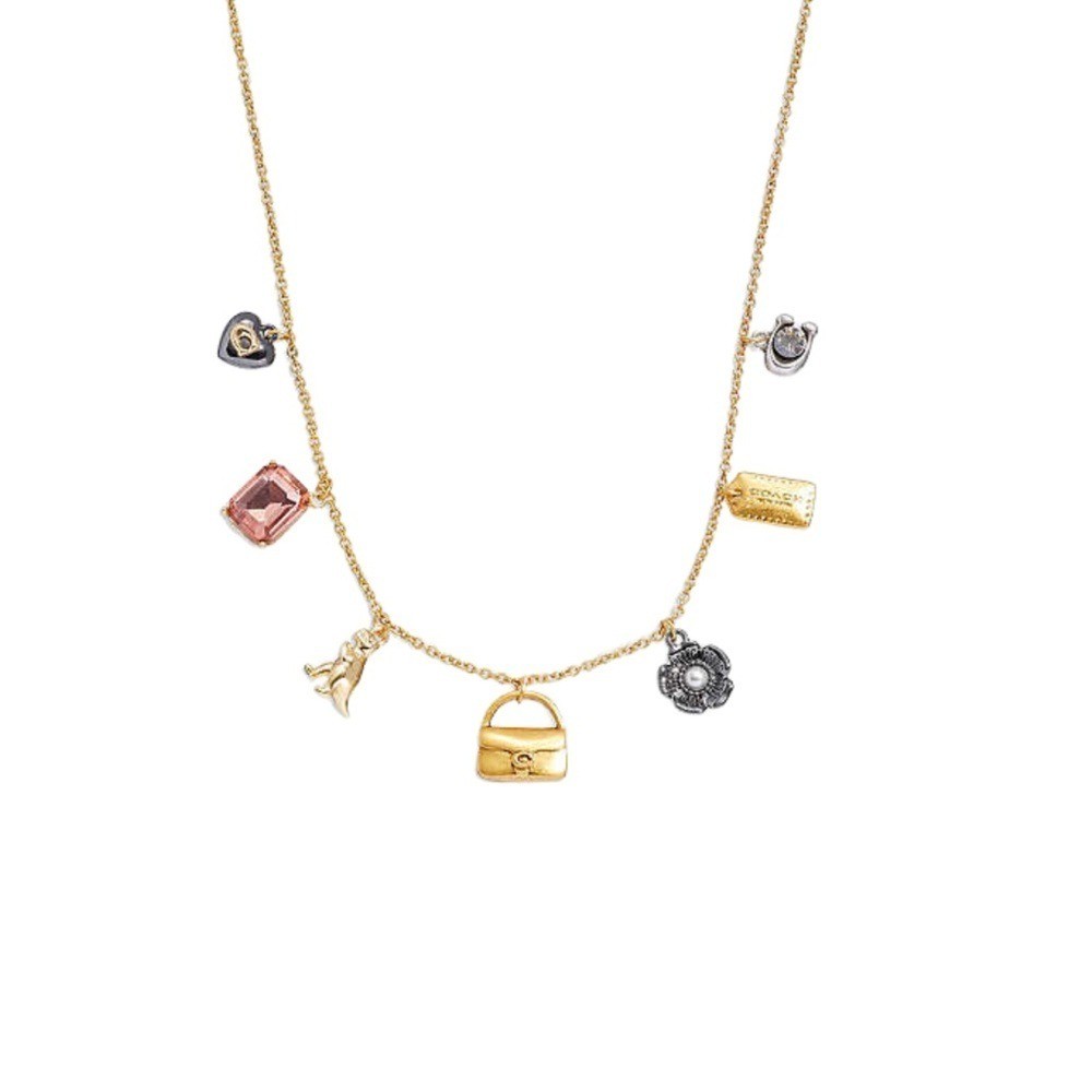 NWT Coach Charm Necklace