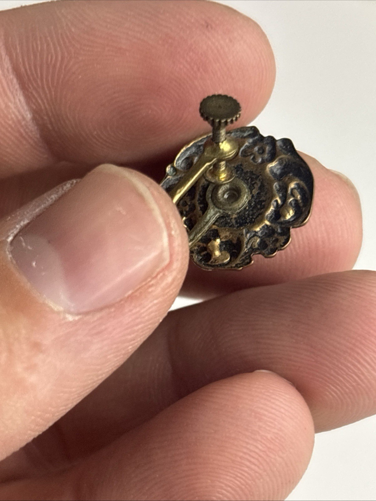 Vintage Cameo Screw Back Earrings