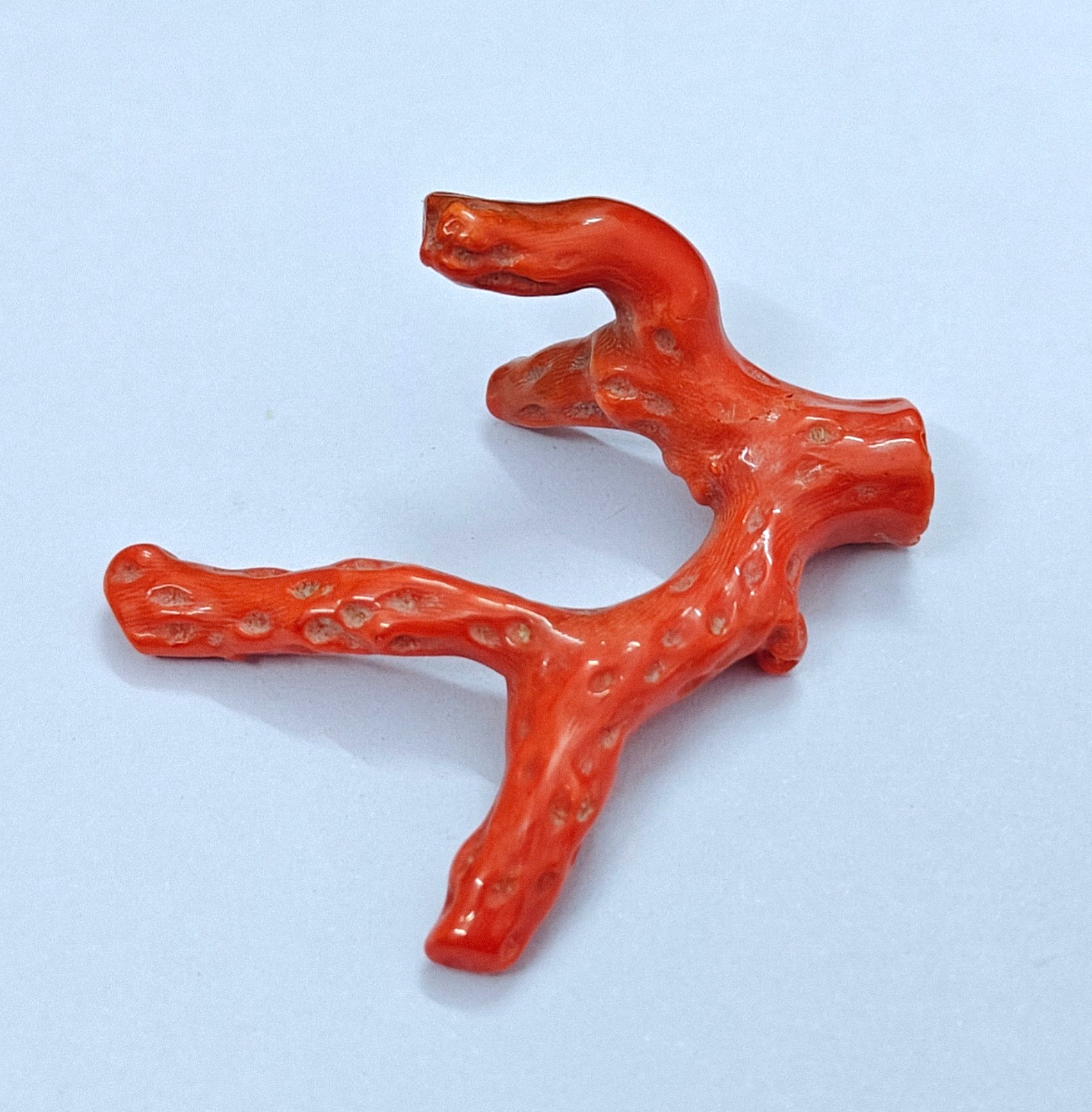 Natural Pink Coral Polished Branch Rough Stick Loose Sea Gemstone For Collectors