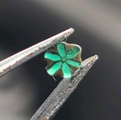 EXTREMELY RARE Tripache Emerald From Colombia 0.10 ct 3.65 x 3.10 x 1.28 mm
