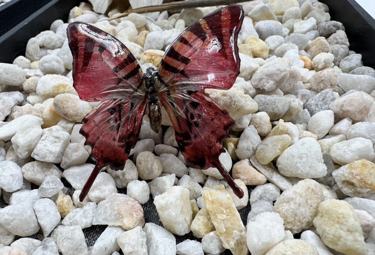 Hand Painted Real Butterfly Pendant Dipped In Resin – Red & Black