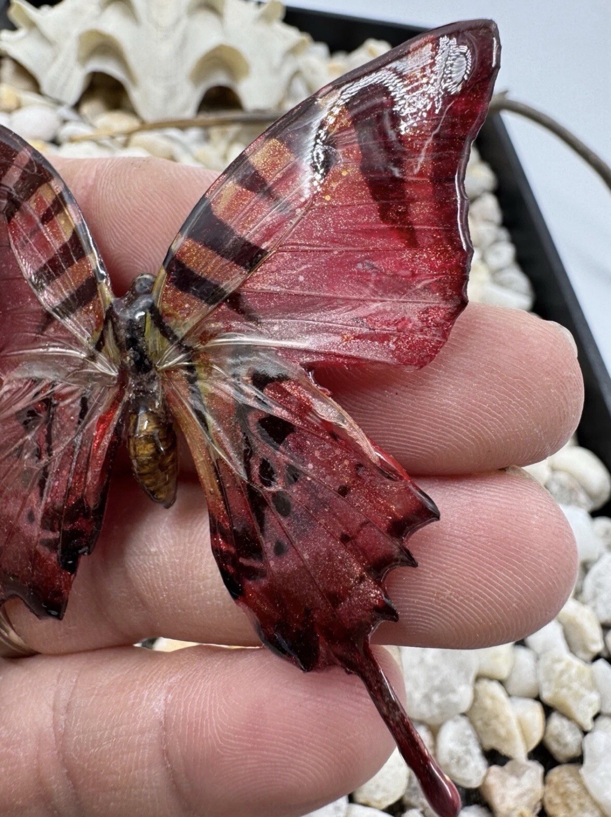 Hand Painted Real Butterfly Pendant Dipped In Resin – Red & Black