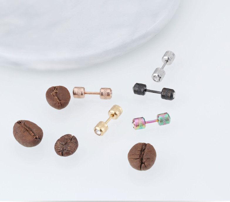 A Pair Surgical Titanium Steel Double Sided Screw Back CZ Stud Earrings 4mm PE65
