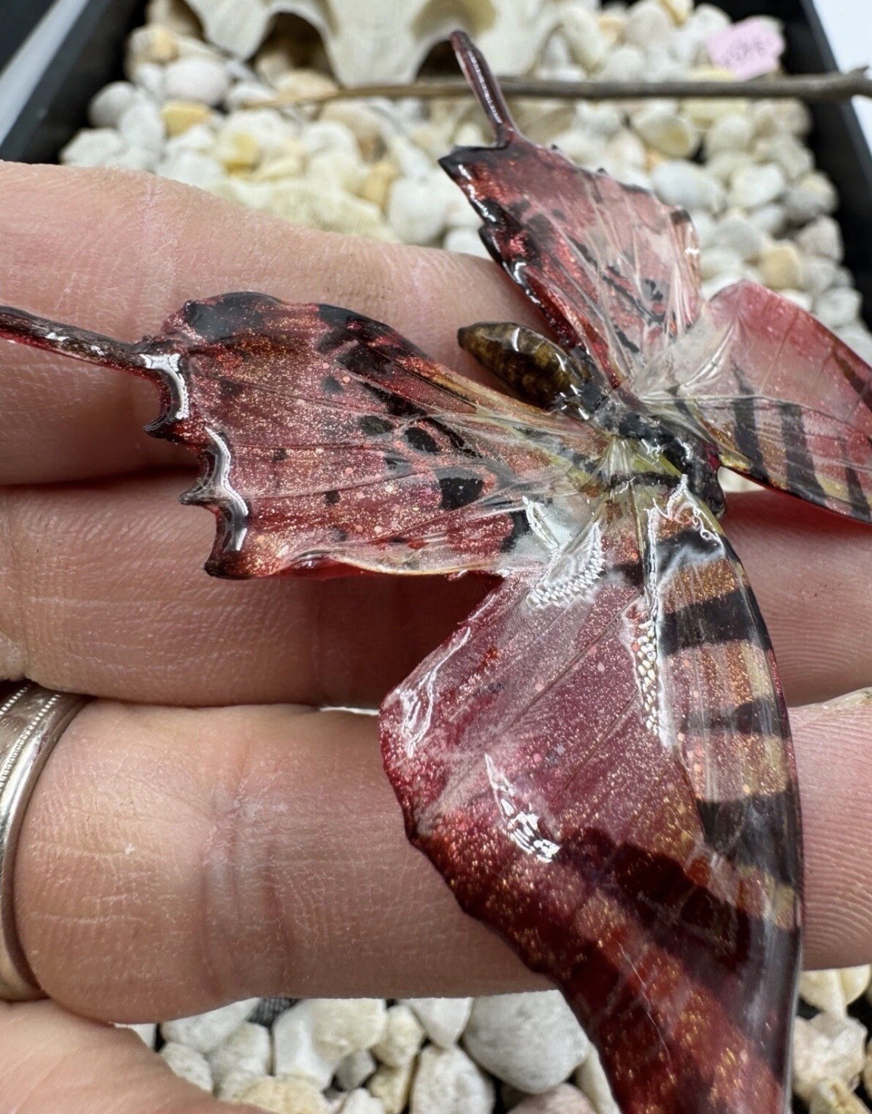 Hand Painted Real Butterfly Pendant Dipped In Resin – Red & Black