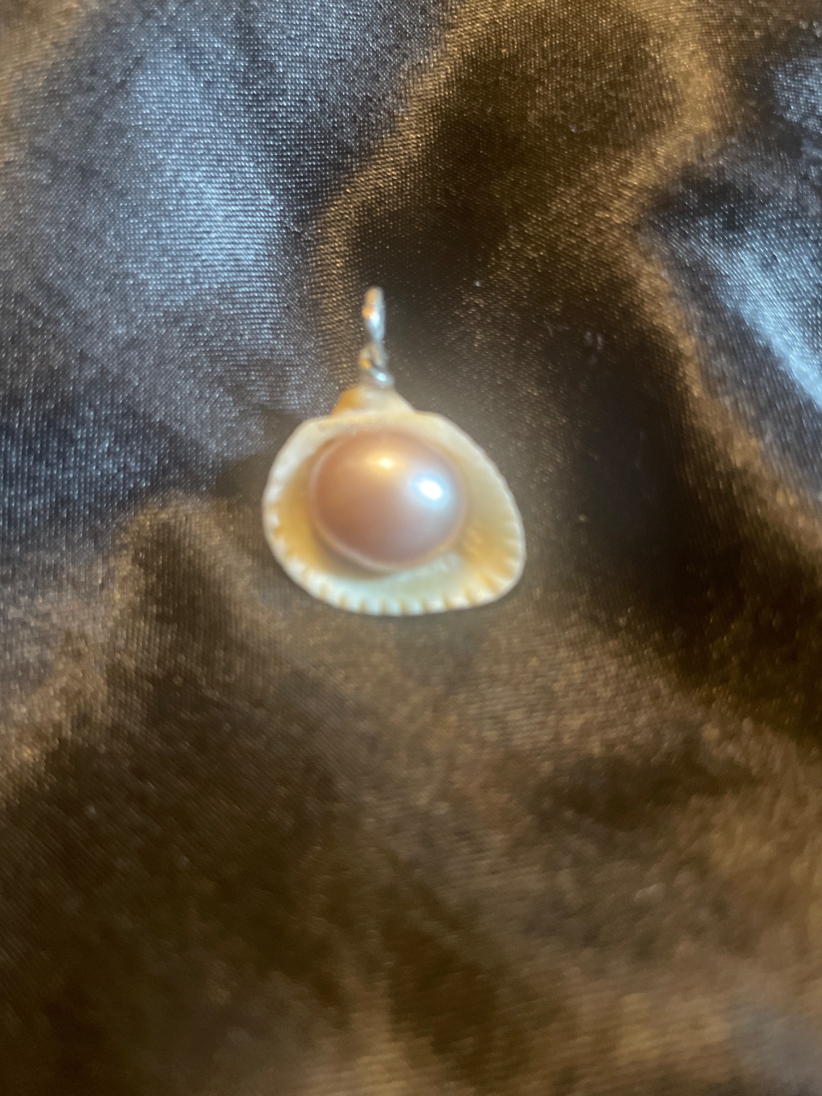 Cockle seashell pendant with Edison pearl and silver plated bail