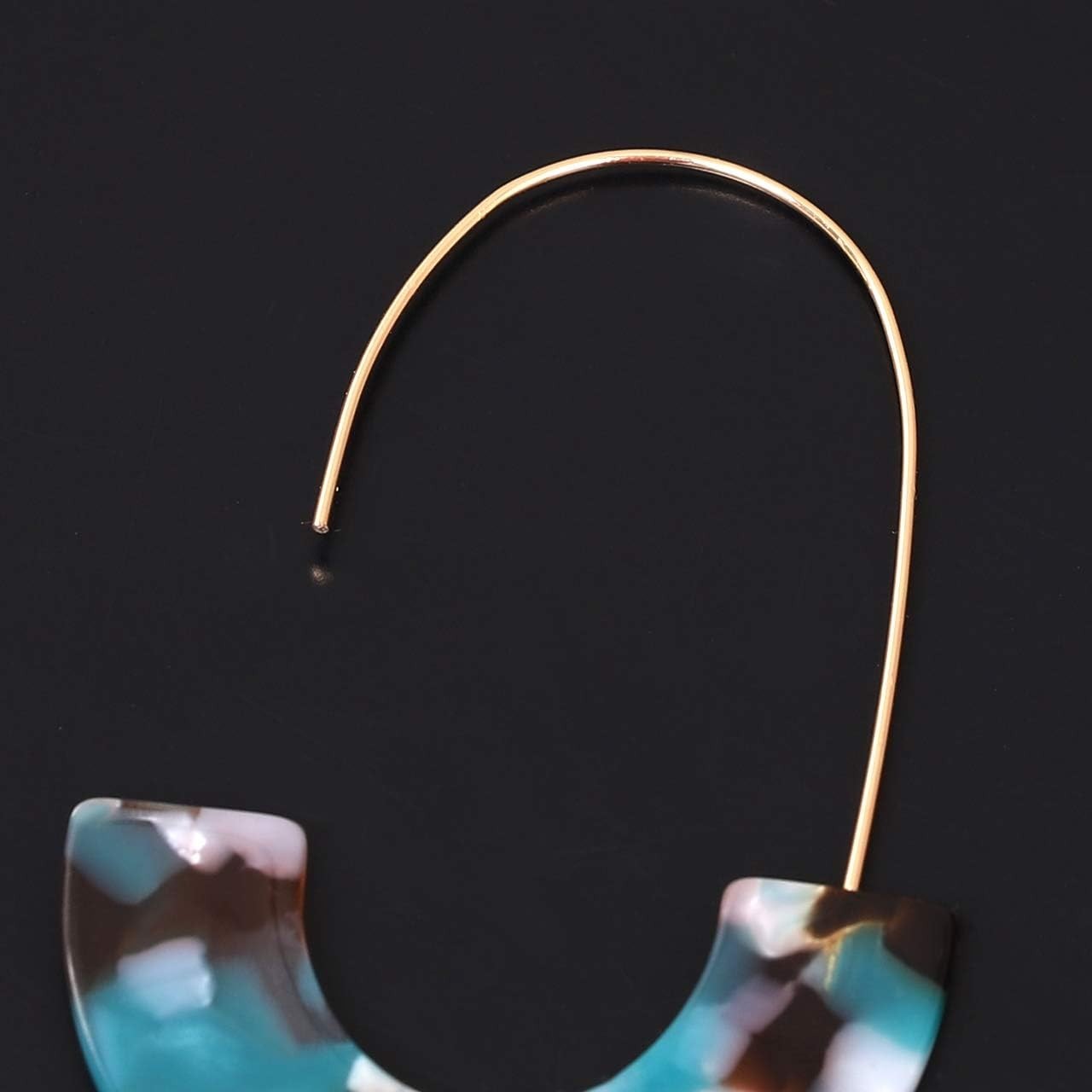 Acrylic Earrings Tortoise Hoop Resin Drop Dangle Jewelry Women