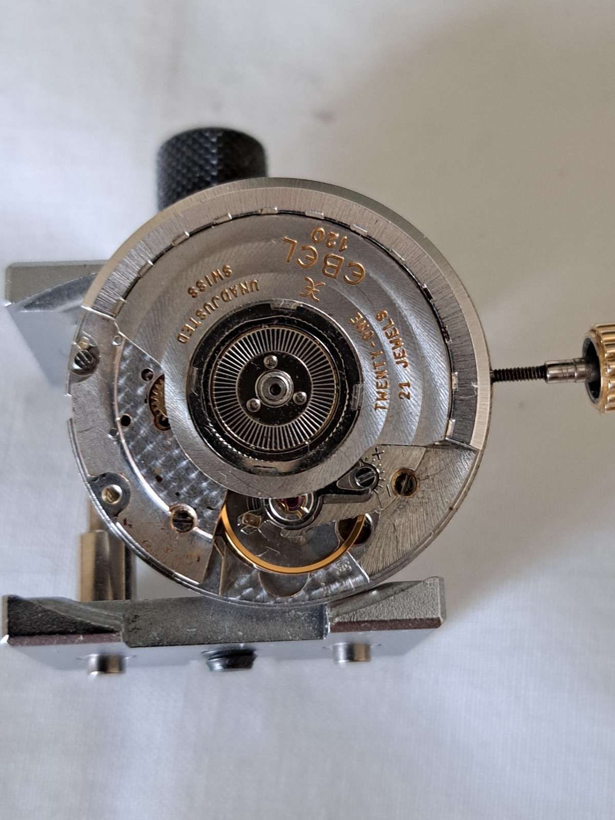 EBEL Sportwave