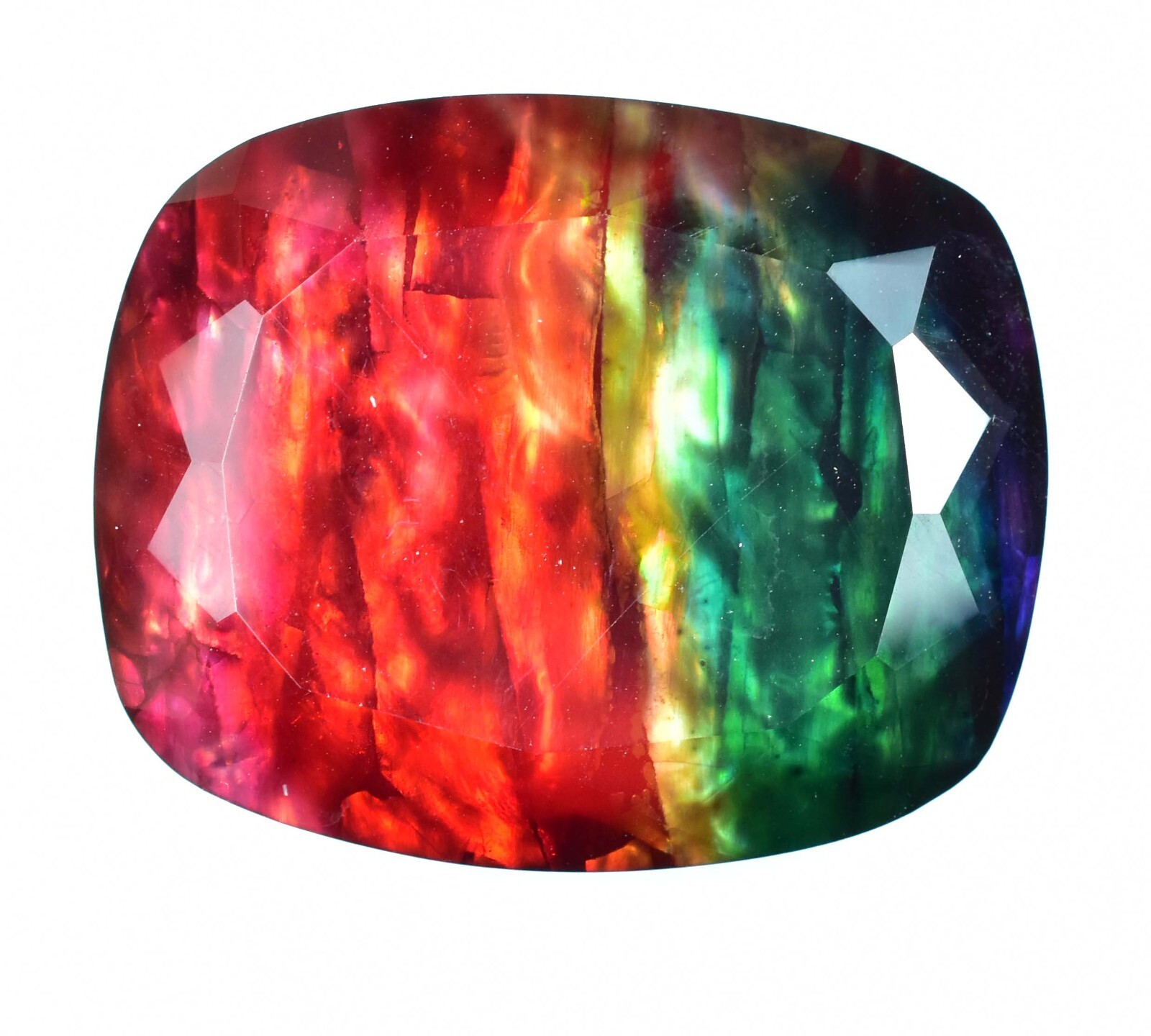 Huge 64.60 Ct Natural Ammolite Opal-Like Organic Doublet Certified Rare Gemstone