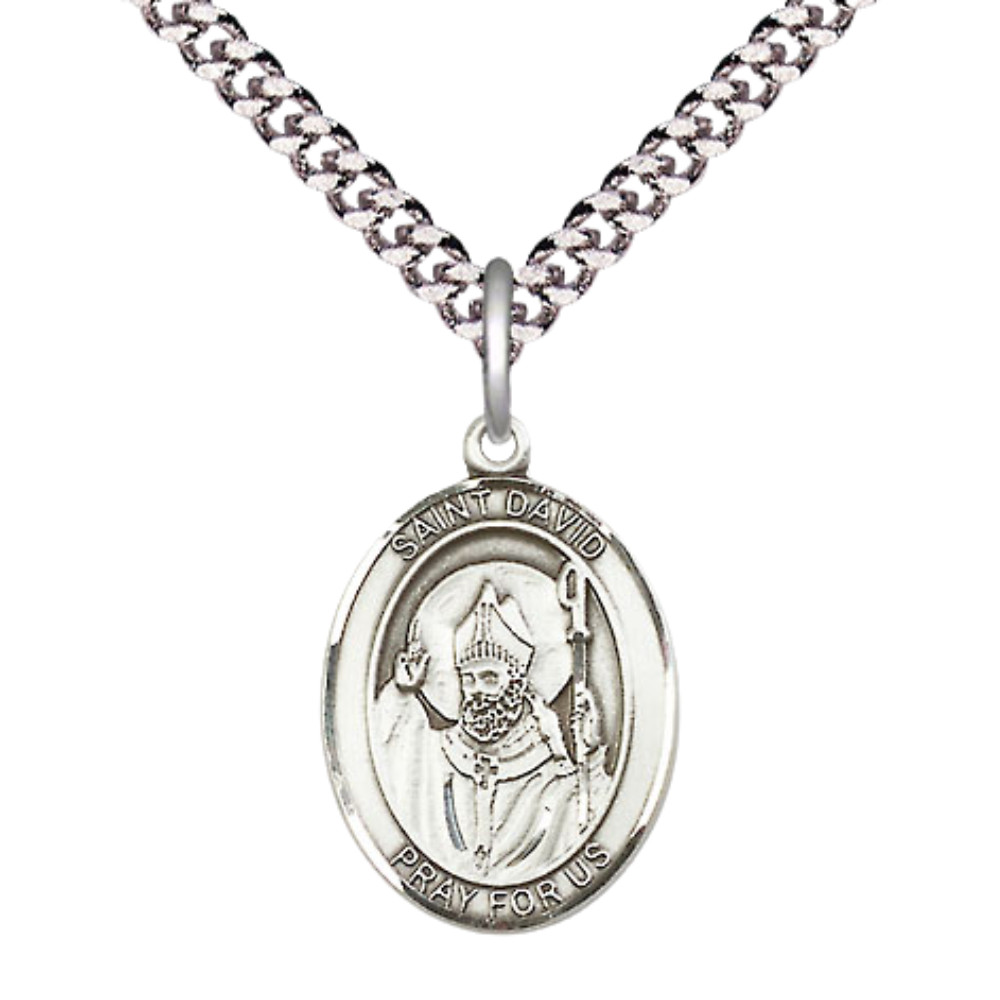 Medium Pewter Saint David of Wales Medal 24″ Lobster Claw Chain Necklace w/ Box