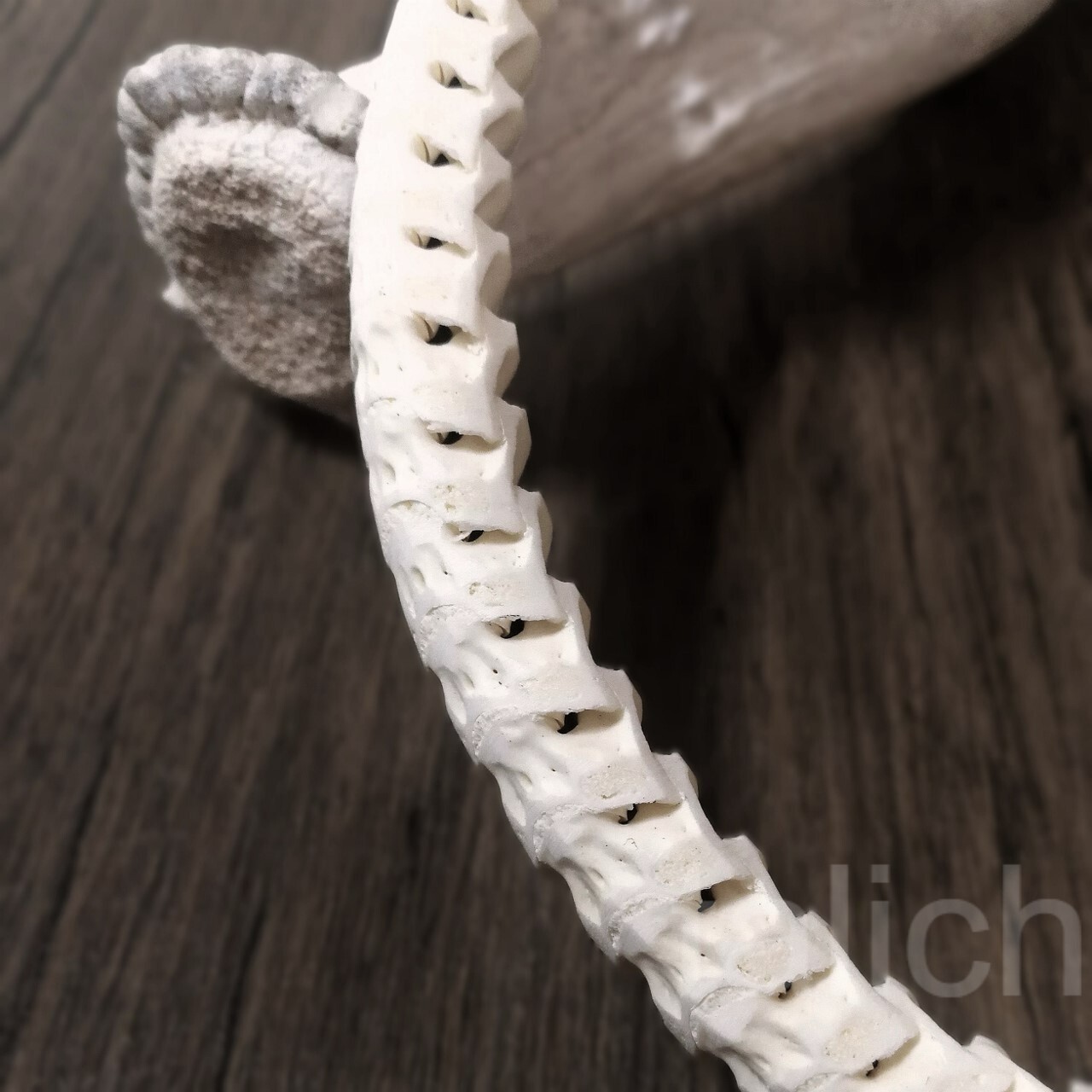 Real Snake Vertebrates Bone Hand Braided Necklace White Adjustable Unisex Cool