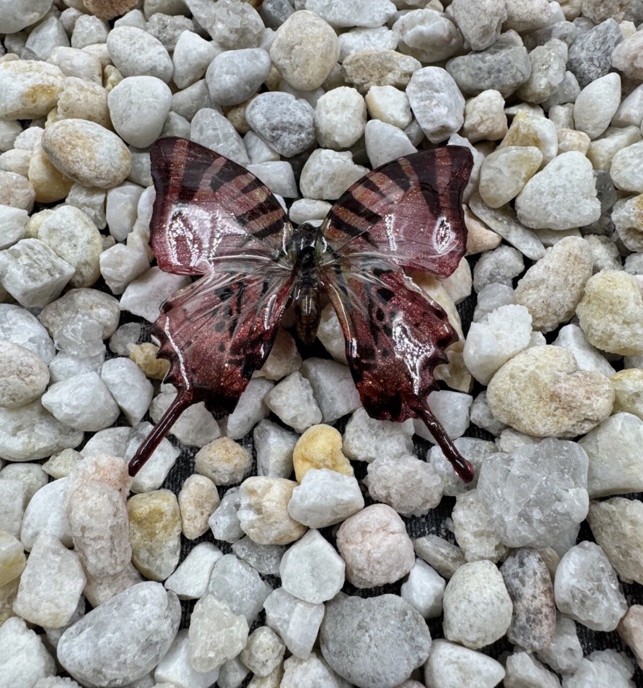 Hand Painted Real Butterfly Pendant Dipped In Resin – Red & Black
