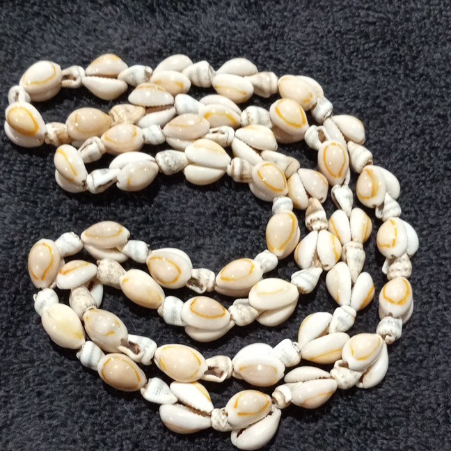 White Beige Natural Shell Oval Beaded Strand Necklace 18 in No Clasp Beach/Ocean