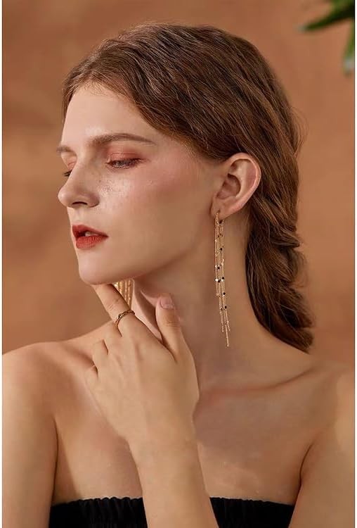 Long Tassel Dangle Drop Earrings for Woman Tassel Dangling Earrings 925 Silver