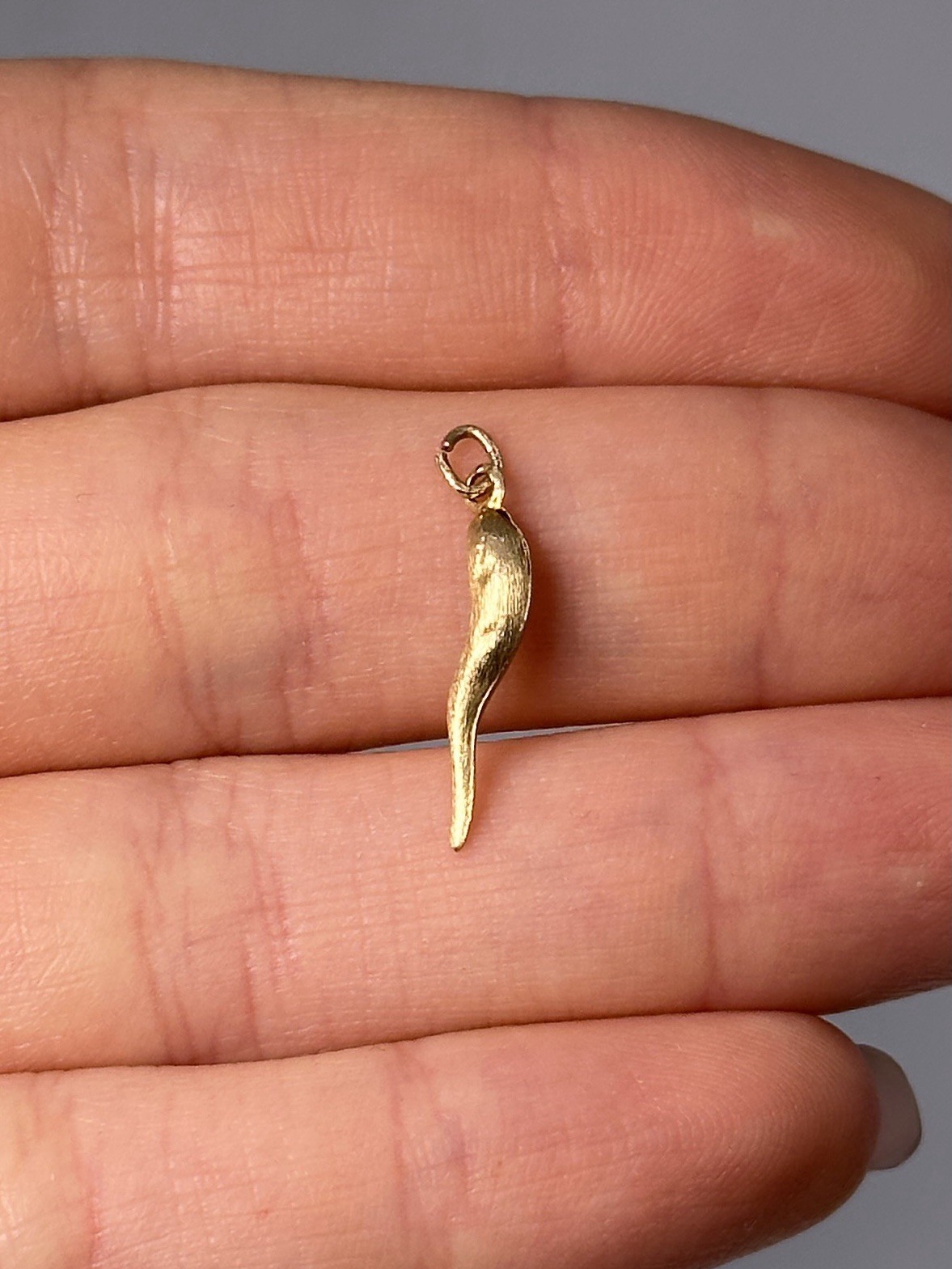 14K Yellow Gold Italian Horn Cornicello Charm/Pendant