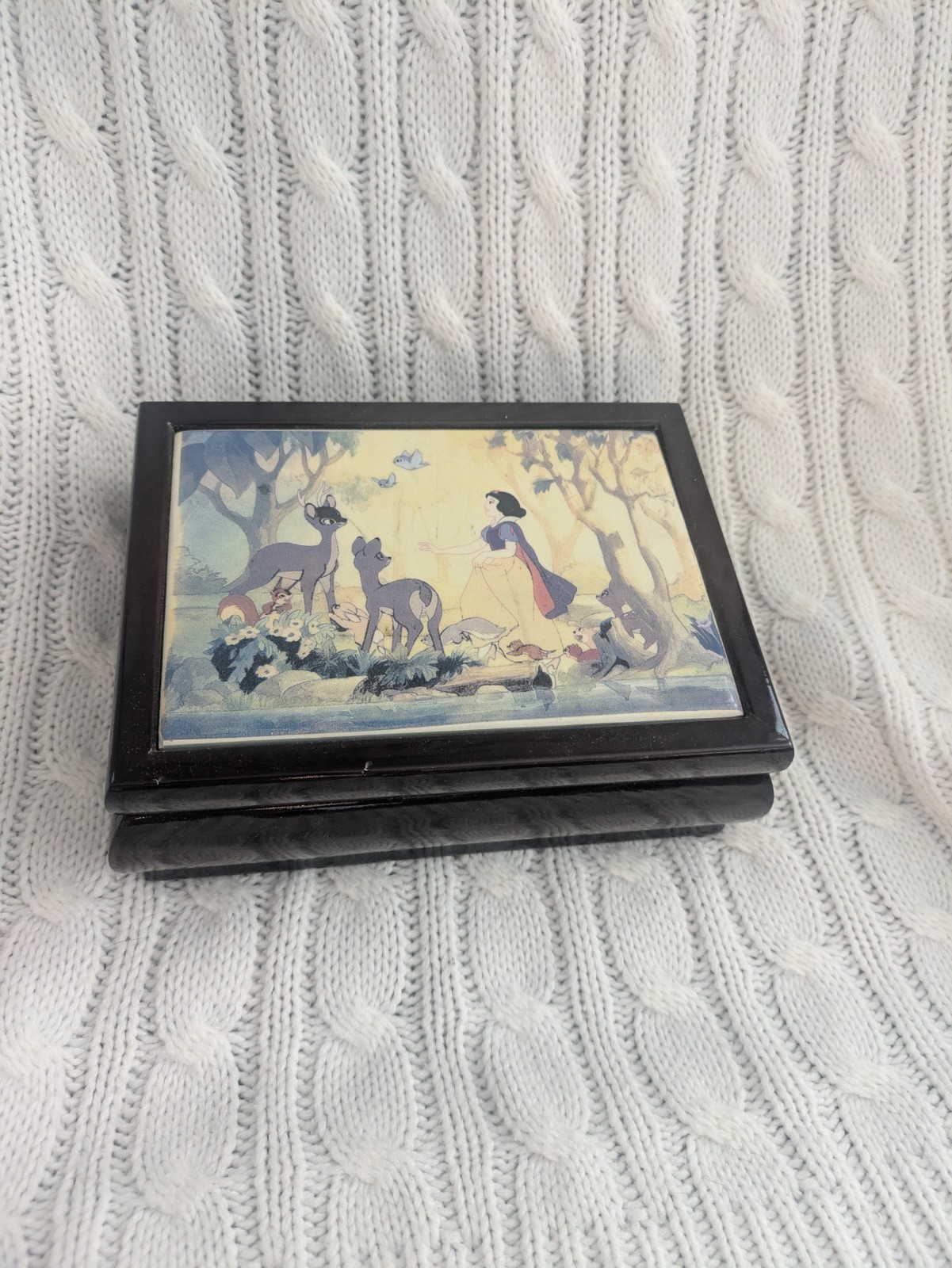 Black Wooden Lined Rectangular Jewelry Box Snow White Theme for Ring/Earring