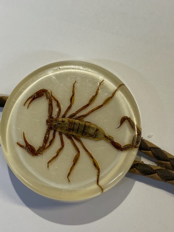 Scorpion Bolo Tie