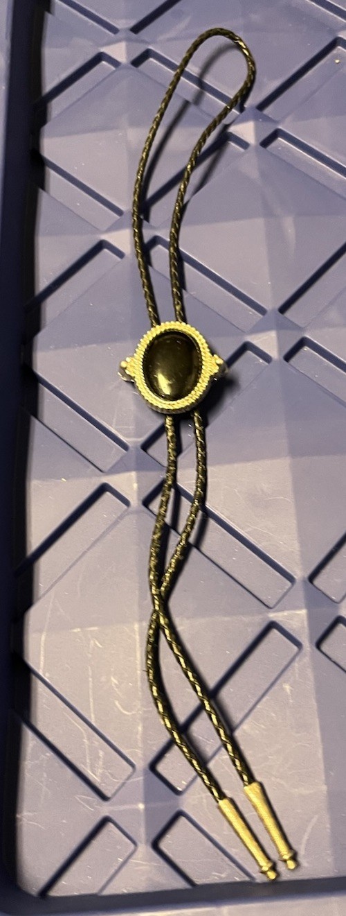 Men’s Western Adjustable Oval Gold Tone Metal Bolo Tie Black Cord Tips(E)