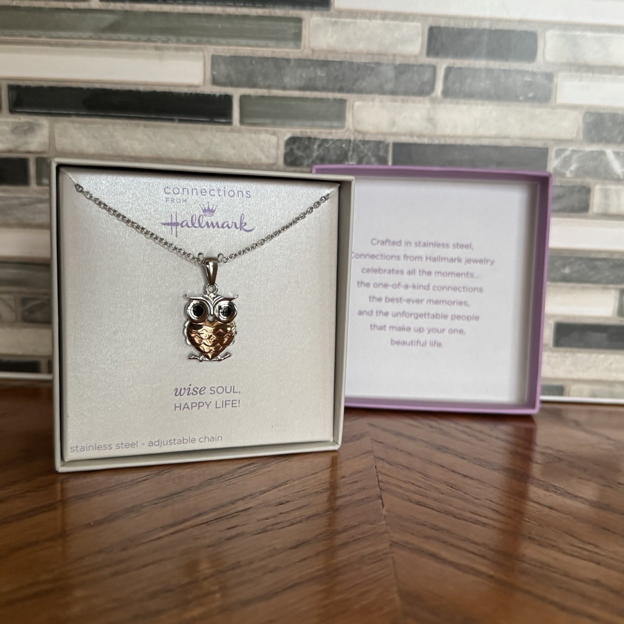 Connections From Hallmark Stainless Steel Owl Charm Pendant Oval Link Necklace