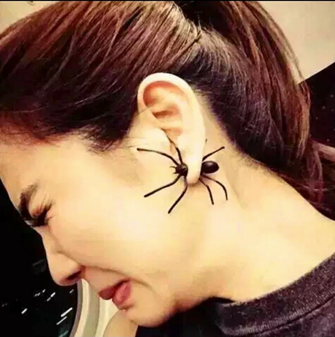 Fashion Jewelry Halloween Spider Earring 45-5